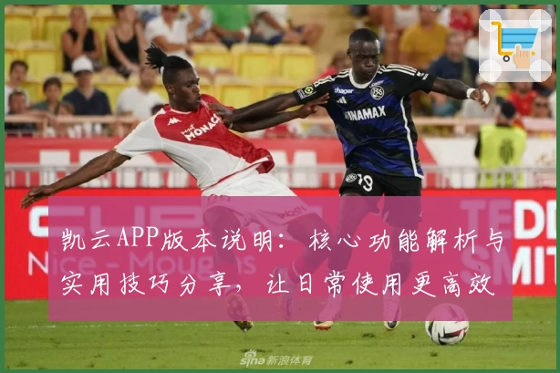 凯云APP版本说明:核心功能解析与实用技巧分享,让日常使用更高效